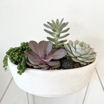 Succulent Planter