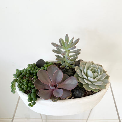 Succulent Planter